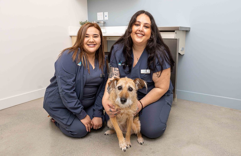 two vets posing for the camera with a medium sized tan dog